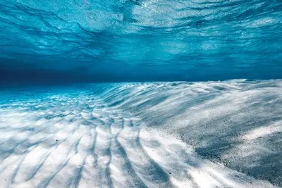 Translucent Art Print by Hannah Prewitt iCanvas