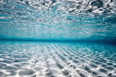 Reflections Canvas Artwork by Hannah Prewitt iCanvas