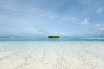 The Island Canvas Art by Hannah Prewitt iCanvas