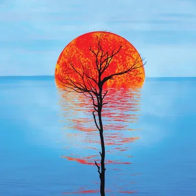 Drowning Sun Canvas Art by Ievgeniia Bidiuk iCanvas