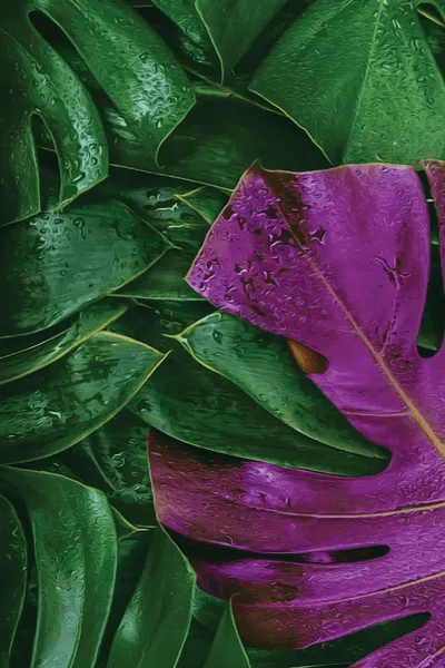 Purple And Green Monster Canvas Art Print Ievgeniia Bidiuk iCanvas