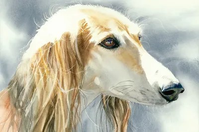 Royal Dog Of Egypt Canvas Wall Art by Judith Stein iCanvas