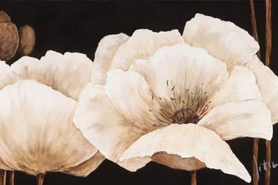 Amazing Poppies IV Canvas Artwork by Jettie Roseboom iCanvas