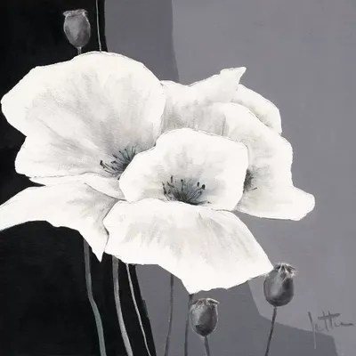 Decora I Canvas Art by Jettie Roseboom iCanvas