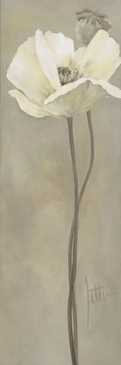 Poppy In White V Canvas Art by Jettie Roseboom iCanvas