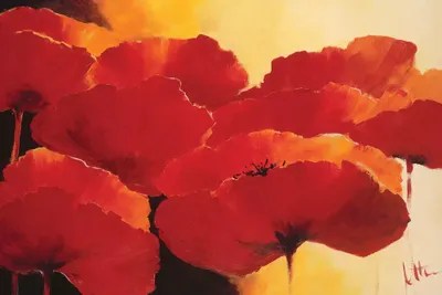 Absolute Beautiful I Canvas Print by Jettie Roseboom iCanvas