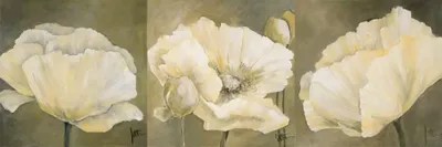 Poppy In White Triptych Canvas Art by Jettie Roseboom iCanvas