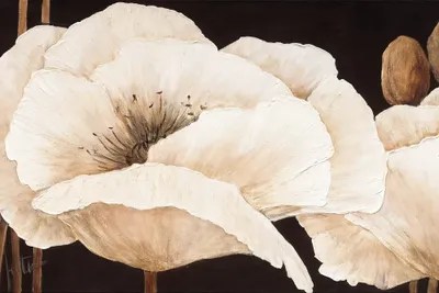 Amazing Poppies III Art Print by Jettie Roseboom iCanvas