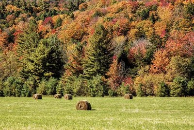 Hay Bales In Vermont Canvas Artwork by Fikar iCanvas