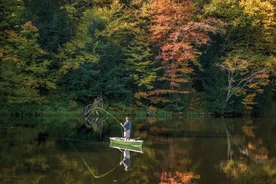 Fly Fishing Canvas Artwork by Fikar iCanvas