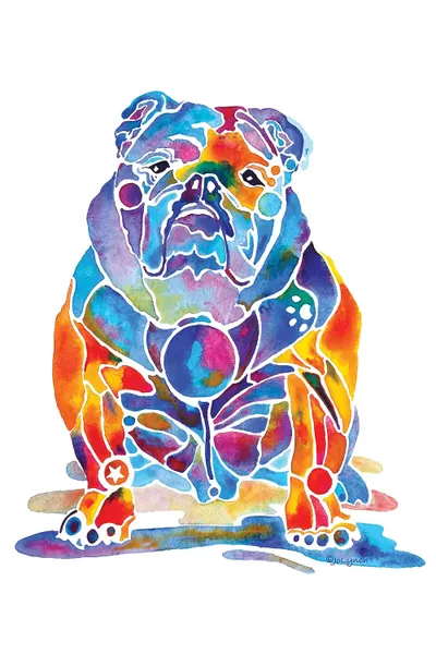 English Bulldog Canvas Art Print by Jo Lynch iCanvas