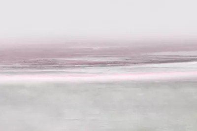 Blush Reflection Canvas Artwork by Jake Messina iCanvas