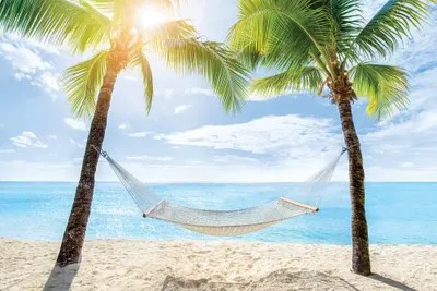 Relaxing In A Hammock At The Beach Canva Canvas Wall Art Jan Becke