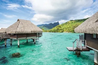 Overwater villas on Moorea, French Polynesia A Art Print Jan Becke