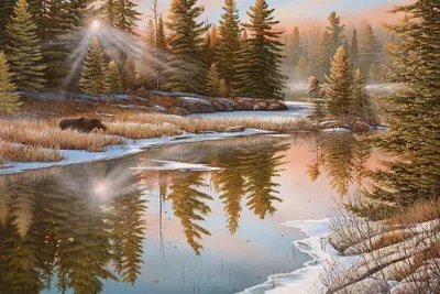 In The Spotlight Art Print by Jake Vandenbrink iCanvas