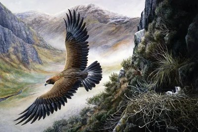 Golden Eagle Art