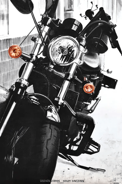 Harley Davidson Canvas Art by Johann Zelenin iCanvas