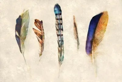 Feathers Canvas Wall Art by Katrina Jones iCanvas