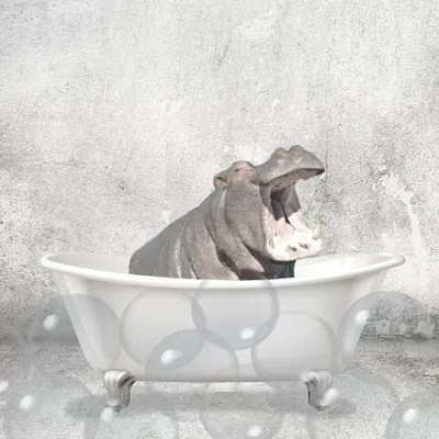 Baby Hippo Bath Art Print by Kimberly Allen iCanvas