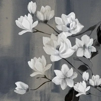Magnolia Branches II Canvas Wall Art by Kimberly Allen iCanvas