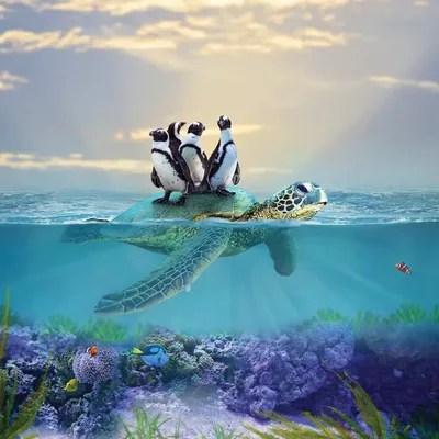 Better Than Uber Canvas Print by Karen Burke iCanvas