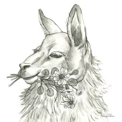 Original Donkey artwork, pencil sketch wall art, farm animal line