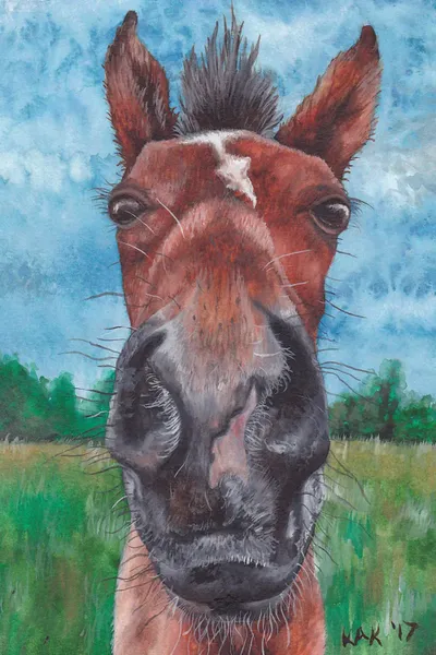 Horse Head Canvas Art by KAK Art & Designs iCanvas