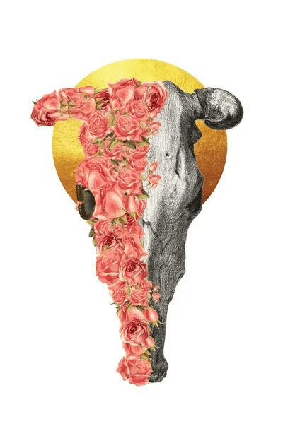 Boho Bull Skull Canvas Artwork by Kiki C Landon iCanvas