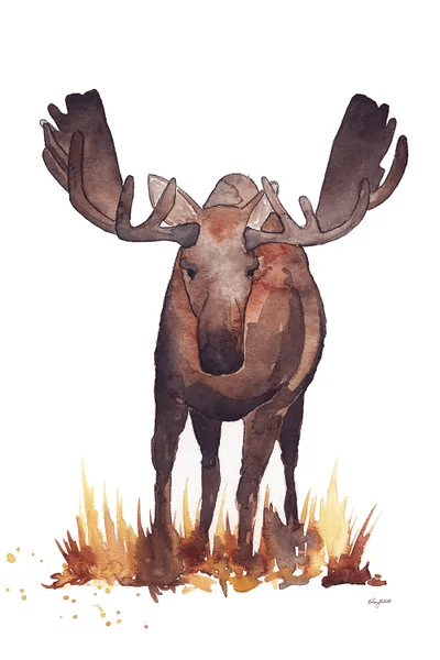 Moose Canvas Wall Art by Kelsey McNatt iCanvas