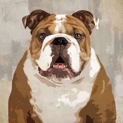 Bulldog Canvas Art by Keri Rodgers iCanvas