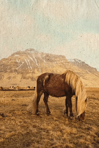Home On The Range Art Print by Leah Straatsma iCanvas