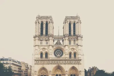 Notre Dame Canvas Print by Laura Evans iCanvas
