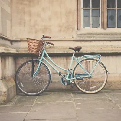 The Bicycle Canvas Art Print by Laura Evans iCanvas