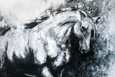White Horse Canvas Artwork by Lindsay Kivi iCanvas