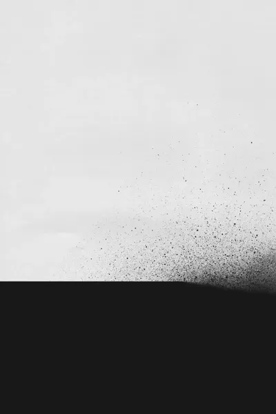 Black Canvas Art by LEEMO iCanvas