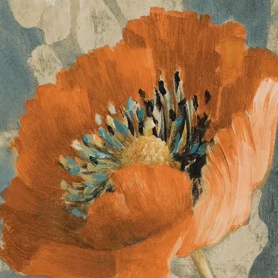 Orange Poppy Canvas Wall Art by Lanie Loreth iCanvas