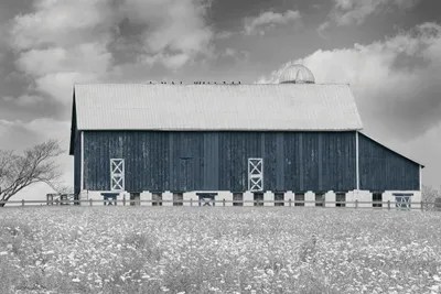 Black & White Barn Canvas Art Print by Lori Deiter iCanvas