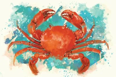 Crab Canvas Art by Louise Goalby iCanvas