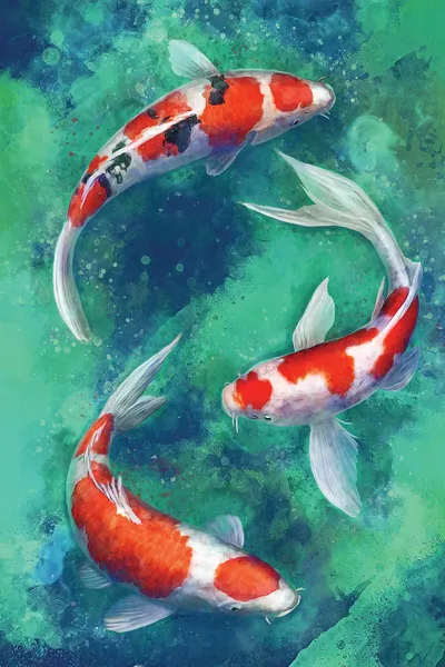 Zen Koi Canvas Print by Louise Goalby iCanvas