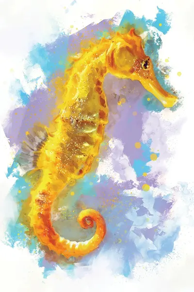 Seahorse Canvas Artwork by Louise Goalby iCanvas