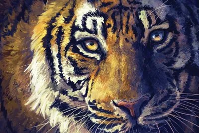Tiger Eyes Canvas Art Print by Louise Goalby iCanvas