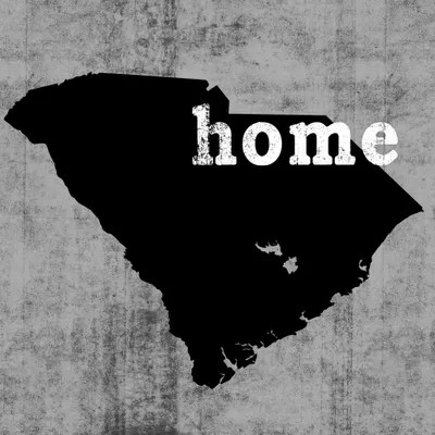 South Carolina Canvas Art by Luke Wilson iCanvas