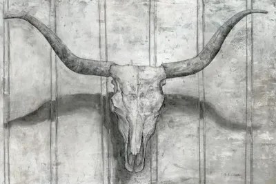Longhorn Canvas Print by Marie Elaine Cusson iCanvas