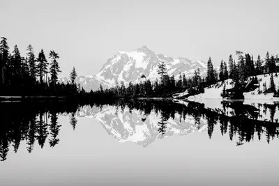 Black And White Paintings Of Nature