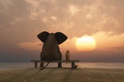 Elephant And Dog Sit On A Summer Beach At Sunset C... Mike Kiev iCanvas