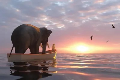 Elephant And Dog Sail In A Boat At Sea Canvas Print by Mike Kiev iCanvas