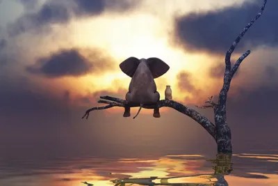 Elephant And Dog Are Sitting On A Tree Art Print by Mike Kiev iCanvas