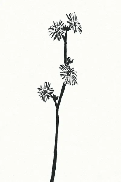 Flower Art Print by Mike Koubou iCanvas