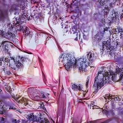Wisteria Hysteria Art Print by Hobopeeba iCanvas