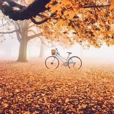 Orange Everywhere Art Print by Hobopeeba iCanvas